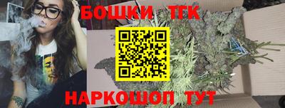гидра Славгород