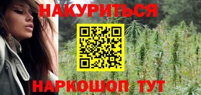 гидра Славгород